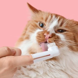Teeth Brushing